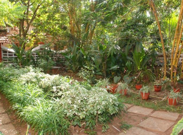 Pinto Guest House Candolim Zewnętrze zdjęcie